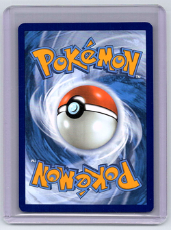 N's Zorua #189 Pokemon Promo NM - Image 2