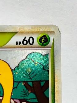 Shuckle Horo Pokemon Card Game No. 011/070 Vrey Rare From Japan Nintendo F/S - Image 3