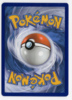Morpeko SWSH116 Promo Holo Pokemon Card - Image 2