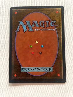 Magic the Gathering MTG - Reincarnation - Legends - Uncommon - Image 2