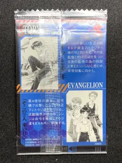 Misato & Shinji CM-02 Neon Genesis Evangelion Wafer Card Japanese 2007 BANDAI - Image 2
