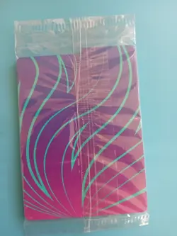 Pokemon TCG N's Zorua 189 Journey Together ETB Promo Holo Card, Sealed - Image 4