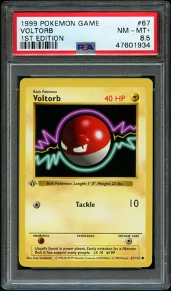 Pokemon VOLTORB 1st Edition 67/102 | PSA 8.5 NM - MINT | BASE SET 1999 - Image 1