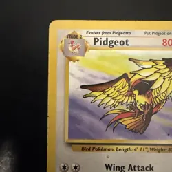 Pokemon Vintage Non-holo Rare Pidgeot Jungle 24/64 WotC 1999 - Image 2