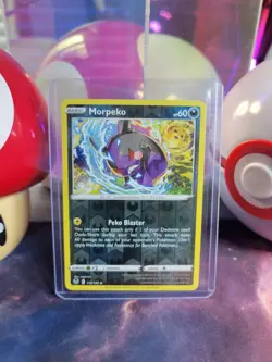 Morpeko 116/195 Pokemon TCG SW&SH Silver Tempest Reverse Holo Uncommon NM - Image 1