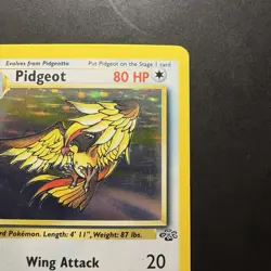 Pokemon Vintage Holo Rare Pidgeot 8/64 Jungle WotC 1999 - Image 3