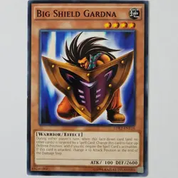 Big Shield Gardna - LDK2-ENY16 - NM - Common - Unlimited - Yugioh - Image 1
