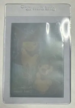 Rayquaza Poncho Pikachu Individual Card Sleeve Pokemon Center Japan Original NEW - Image 2