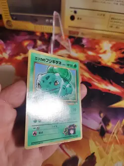 Pokemon Karte Card Erikas Bulbasaur Bisasam Gym Corocoro Promo japanese Exc-NM - Image 5