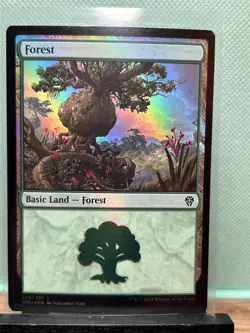MTG TCG: Forest 275/281, Dominaria United _ FOIL - Image 1