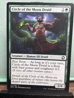 MTG TCG: Circle Of The Moon Druid 177/281, Adventures In The Forgotten Realms - Image 1
