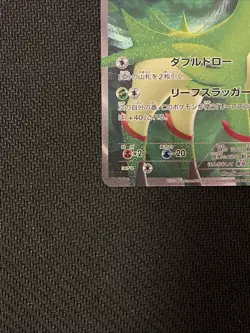 Virizion 067/066 Red Collection Japanese Pokemon Card TCG - Image 5