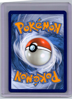 N's Zorua #189 Pokemon Promo Black Star NM - Image 2
