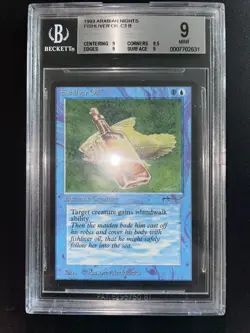 MTG Fishliver Oil BGS 9Q+ Arabian Nights 1993 Graded NM - Image 2