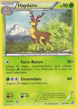 Haydaim - N&B: Noir et Blanc - 14/114 - Carte Pokemon - Image 1