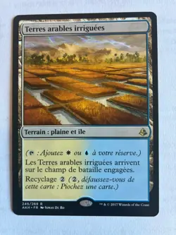 Mixed Lot Of 5 Amonkhet Rare Lands FRENCH Language MTG Magic The Gathering - Image 3