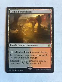 Mixed Lot Of 5 Amonkhet Rare Lands FRENCH Language MTG Magic The Gathering - Image 5