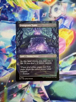Overgrown Tomb (Borderless) Lorwyn Eclipsed Regular - Image 2