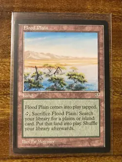 MTG✨MIRAGE Allied SAC/FETCH Dual LANDS SET✨Mirage NM 1996 UNCOMMON Vintage Lands - Image 5