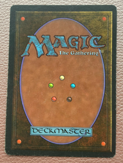 Adarkar wastes MTG Magic the gathering - Image 2