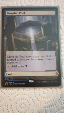 MTG Morphic Pool, NM-Mint, English Zendikar Rising Expeditions NM - Image 3