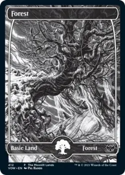 MTG English Forest (Moonlit Land) (Foil Etched) NM Foil Promos: WPN and Gateway - Image 1