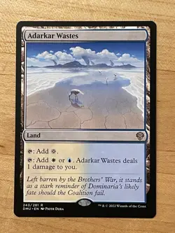 MTG NM Adarkar Wastes [Dominaria United] - Image 1