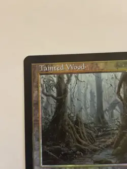 Tainted Wood, Torment, Mtg, Magic The Gathering Foil NM - Image 3