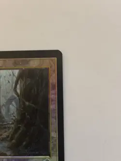 Tainted Wood, Torment, Mtg, Magic The Gathering Foil NM - Image 4