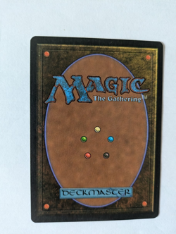 Italian Living Plane Legends MTG Exc Free shipping with tracking - Image 2