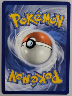 Squirtle 170/165 Sv: Pokemon Scarlet & Violet 151 Holo NM (1 of 2) - Image 2