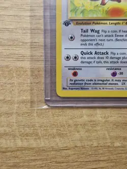 Pokemon 1999 WOTC Jungle 1st Edition Eevee 51/64 - Near Mint / Mint - Image 5