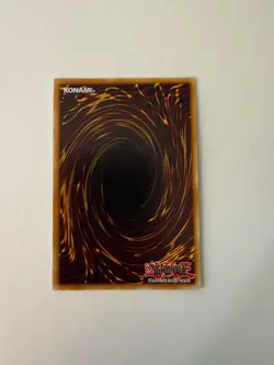 Yugioh - Magician of Black Chaos MAX - Secret Rare - LIMITED - TN19-EN002 - NM - Image 2