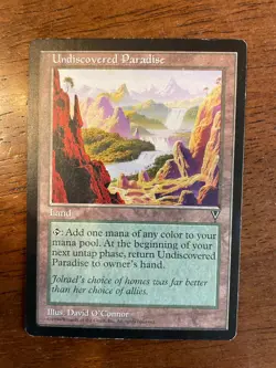 MTG Undiscovered Paradise - Visions LP - Image 1