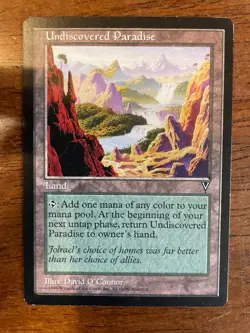 MTG Undiscovered Paradise - Visions LP - Image 2