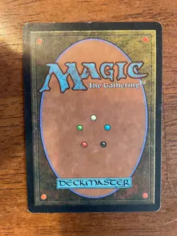 MTG Undiscovered Paradise - Visions LP - Image 3