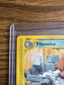 Pokemon Skyridge Piloswine 24/144 Non-Holo Rare NM Near Mint - Image 3