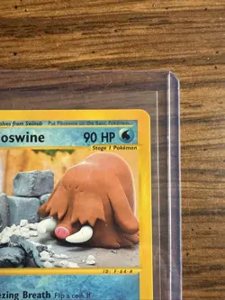 Pokemon Skyridge Piloswine 24/144 Non-Holo Rare NM Near Mint - Image 4