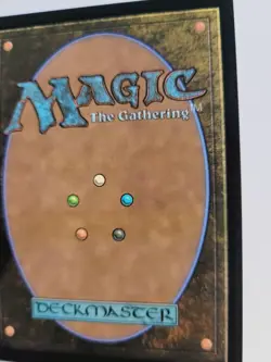 MTG Floodfarm Verge 330 (missprint on the back ) Duskmourn: House of Horror NM - Image 3