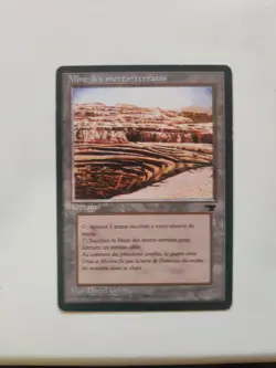 MTG Magic - 1x Strip Mine (Fbb - French Renaissance) - Image 1