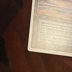 Underground Sea X1 Mtg Revised Nm - Image 3