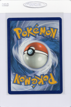 Turtwig GG31/GG70 Crown Zenith: Galarian Gallery Holo Pokemon TCG Ultra Rare NM - Image 2