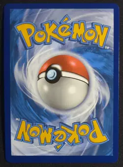 Pikachu V SWSH061 Sword & Shield Promo Pokemon Card - Image 2