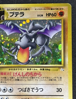 Aerodactyl No.142 Holo Rare Old Back Fossil 1997 Pokemon Card Japanese - Image 3