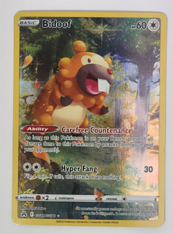 Pokemon Card Bidoof GG29/GG70 Crown Zenith: Galarian Gallery Holo New NM - Image 1