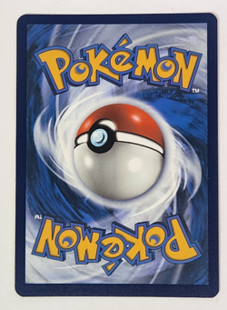 Pokemon Card Bidoof GG29/GG70 Crown Zenith: Galarian Gallery Holo New NM - Image 2