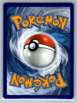 Charmander - Promo SWSH: Sword & Shield Promo Cards Holo SWSH092 NM - Image 2