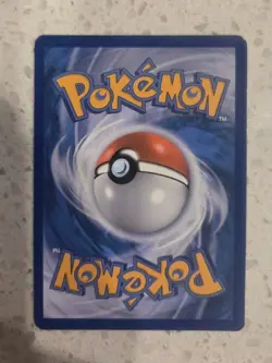 Team Aqua's Walrein Holo Rare 5/34 Double Crisis Pokemon TCG Card LP +🎁 - Image 3