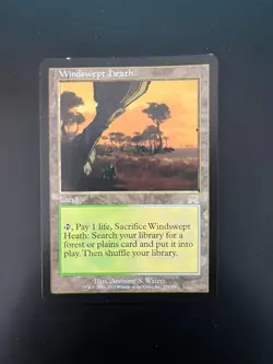 Windswept Heath MTG Onslaught Regular - a2d8 - See picts for condition - Image 1