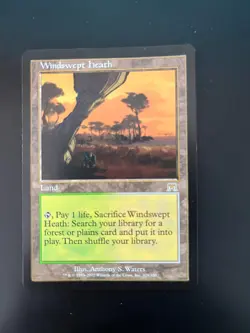 Windswept Heath MTG Onslaught Regular - 2d91 - See picts for condition - Image 1